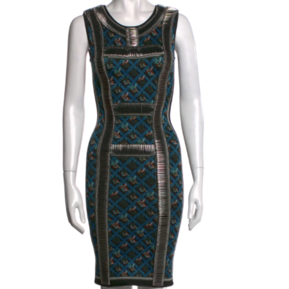 Herve Leger NWT rare printed dress